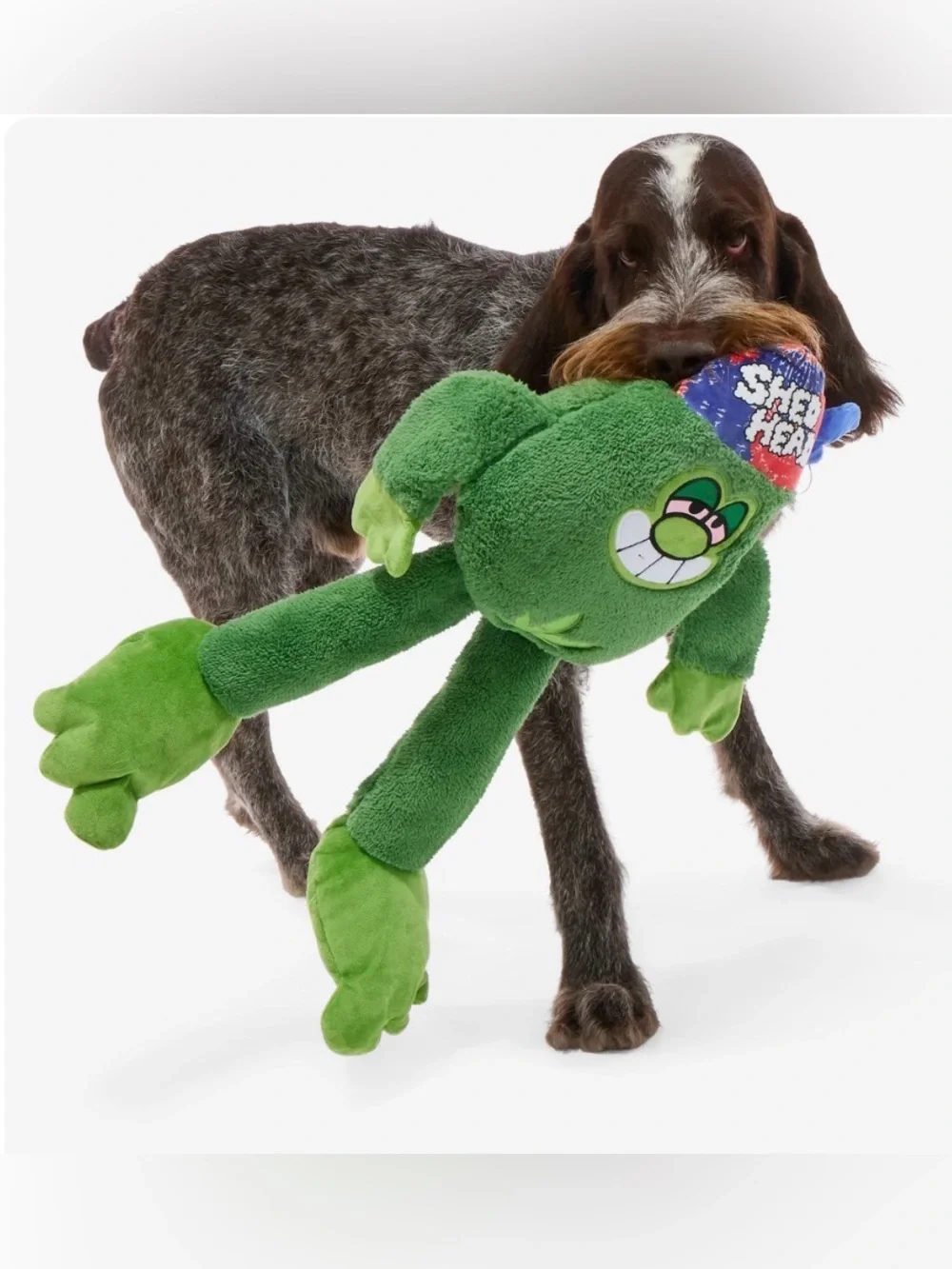 Bark new without